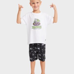 Boys 2-7 Creatures 13" Boardshorts