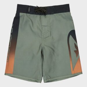 Boys 2-7 Everyday 13" Boardshorts