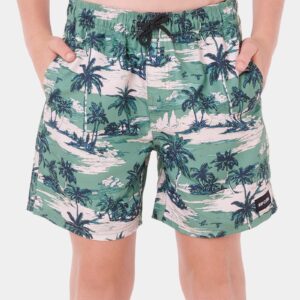 Boys 8-16 Dreamers Volley Boardshorts