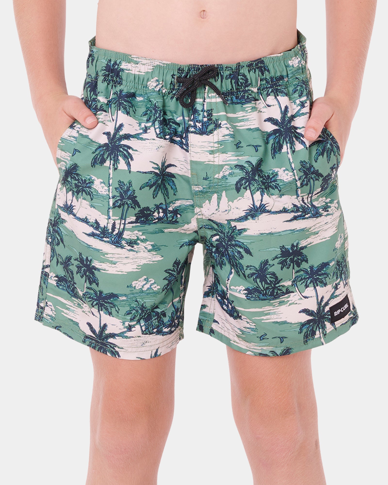 Boys 8-16 Dreamers Volley Boardshorts