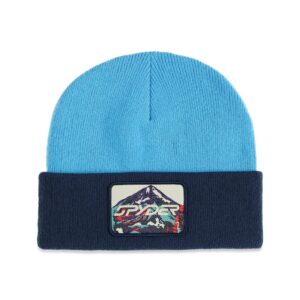 Boys 8-16 Link Beanie
