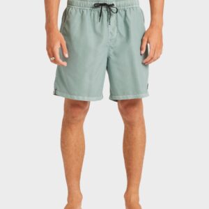 Mens All Day Overdye Layback 17" Boardshorts