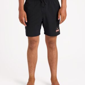 Mens Eagle 17" Boardshorts