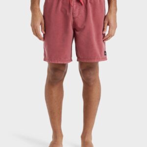 Mens Everyday 17" Swim Shorts
