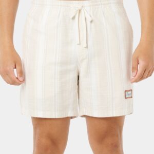 Mens Mod Cali Stripe Volley 17" Walkshorts