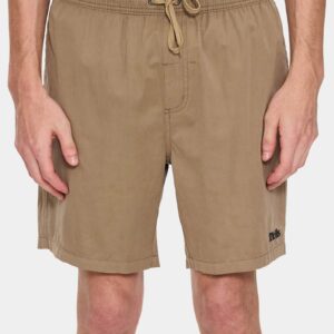 Mens Thrills Forever Volley Walkshorts